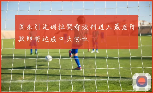 国米引进姆拉契奇谈判进入最后阶段即将达成口头协议